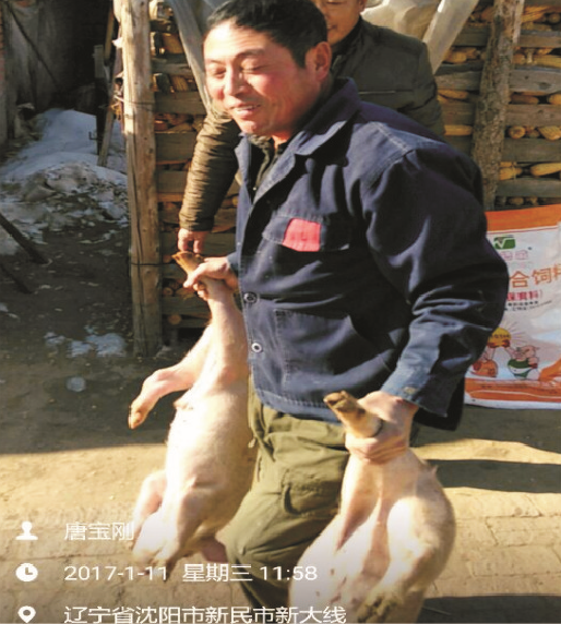海德威保育料（0101H）的實證案例一