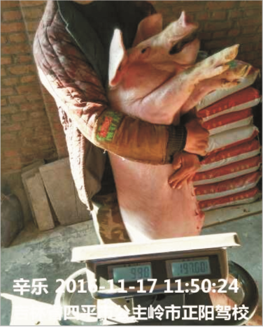 海德威保育料（Z101）的實證案例